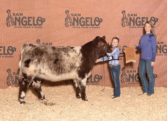 Res. Division Champion, 2019 San Angelo, Shown by Finley Jones