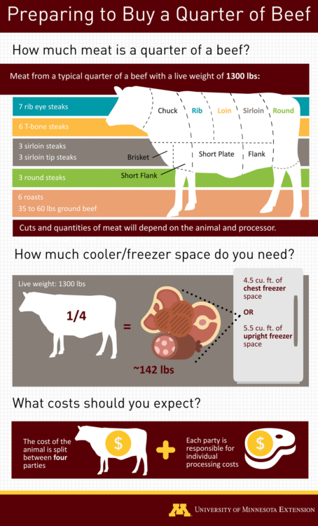 Freezer Beef Info Sheet